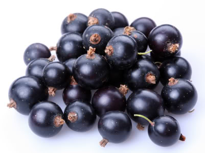 acai berry helps you lose weight